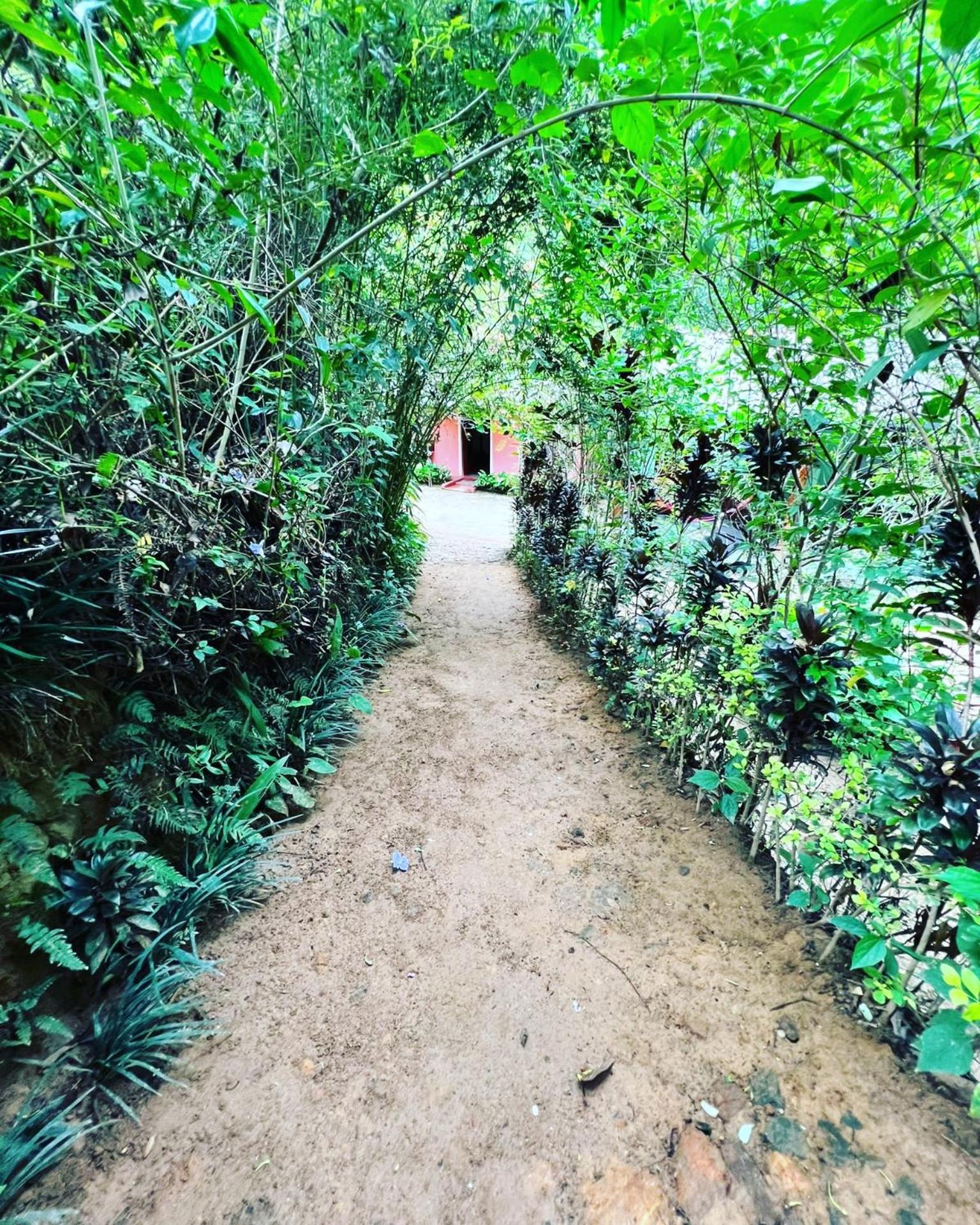 Ella Secret Paradise エクステリア 写真