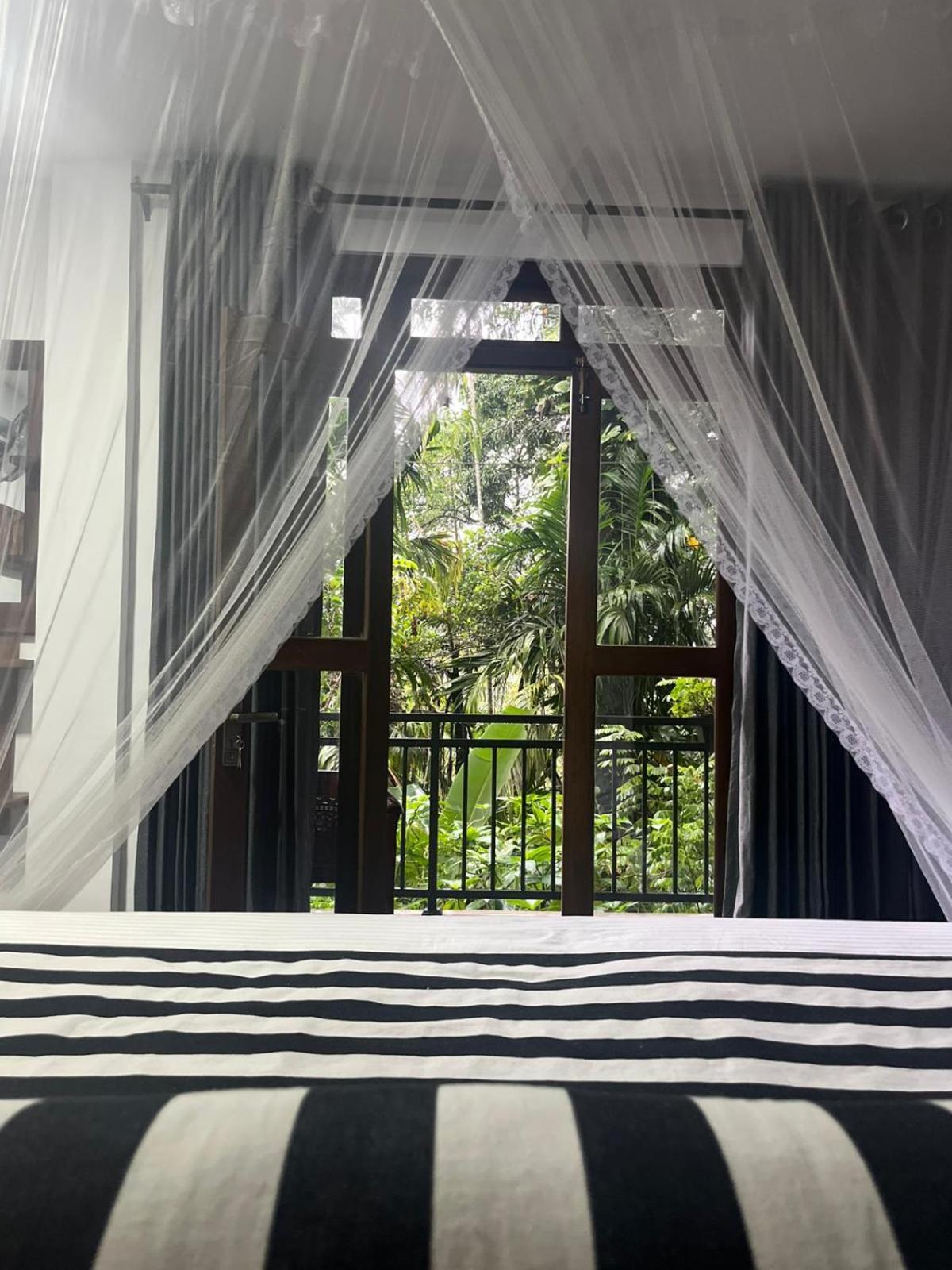 Ella Secret Paradise 部屋 写真
